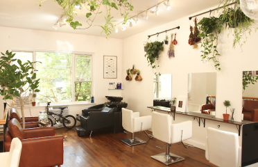 THREE DEGREES SALON