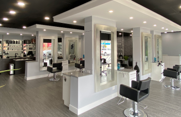 Hollywood Stylze Hair Salon