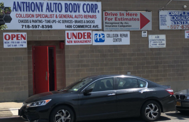 Auto Body Specialist