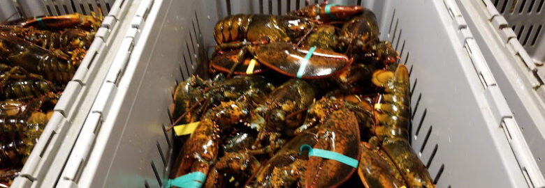 Narragansett Bay Lobsters Inc