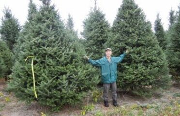 Syracuse Christmas Tree Farm