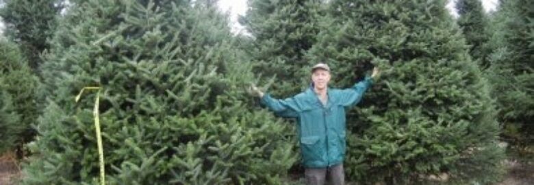 Syracuse Christmas Tree Farm