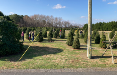 Don’s Tree Farm