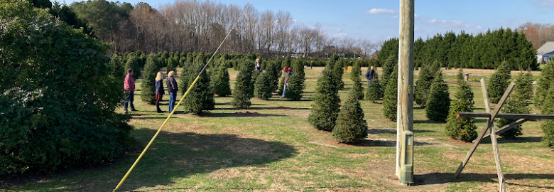 Don’s Tree Farm