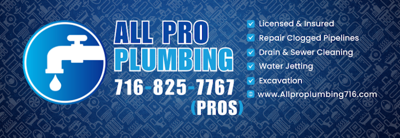 All Pro Plumbing LLC