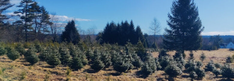 Wreaths of Maine