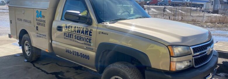 Delaware Fleet Services Inc