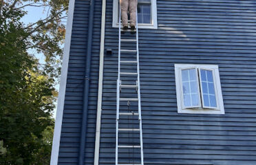 Blackcap Handyman