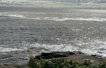 Maine Coast