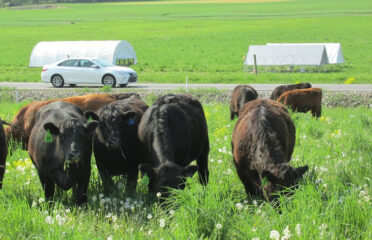 Peaceful Valley Farm Grassfed Meats