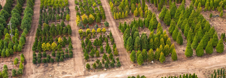 Cavicchio Greenhouses Inc.