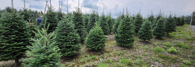 Noel’s Tree Farm